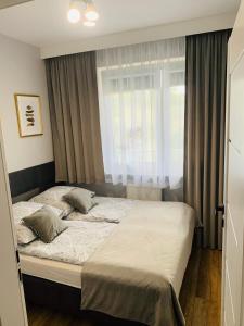 1 dormitorio con 1 cama grande y ventana en Apartament Stemar z dyżym baloknem en Gorzów Wielkopolski