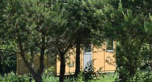 Zahrada ubytování Forton House Shepherd's Huts