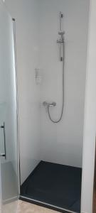 um chuveiro numa casa de banho com uma porta de vidro em La Mongeta Màgica. em Castellón de la Plana