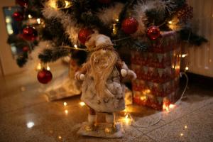 Foto sihtkohas Chişinău asuva majutusasutuse Vila Iris galeriist
