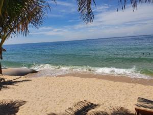 a beach with the ocean and a palm tree at Villa Aria Boutique Muine in Mui Ne