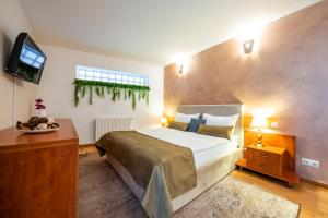 a bedroom with a large bed and a television at Vila Diana - Poiana Brasov in Poiana Brasov