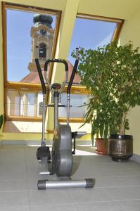 Fitness centrum a/nebo fitness zařízení v ubytování Familie Hopfeld - Hotel Dreikönigshof