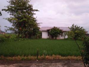 una casa en medio de un campo de hierba en Penginapan al fatih, en Kampungdurian