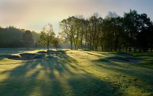 a group of golf balls on a field with trees at The Lodge at Kingswood in Epsom