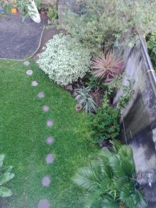 A garden outside Sun Rest Mirissa