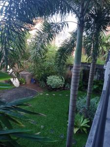 A garden outside Sun Rest Mirissa