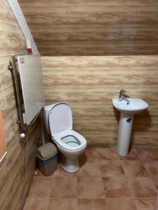a bathroom with a toilet and a sink at Орел in Mykulychyn +10 photos