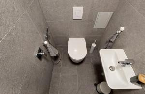 a bathroom with a white toilet and a sink at Apartmán08 in Dolní Morava