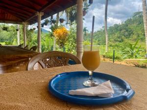 a drink on a blue plate on a table at Rainforest Holiday Inn in Deniyaya
