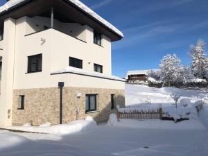 Appartement FreiRaum v zimě