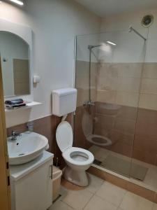 a bathroom with a toilet and a shower and a sink at Apartmani Sunce Stara planina in Crni Vrh
