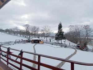 a snow covered park with a pavilion in the distance at Vila Rem in Bran