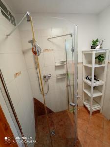 a shower stall with a glass door in a bathroom at FeWo An der Elpe zwischen Winterberg und Fort Fun in Olsberg