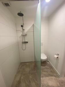 Kúpeľňa v ubytovaní Auszeit Salzkammergut Appartements