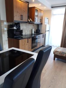 Kuchyň nebo kuchyňský kout v ubytování Transylvania Villa & Spa