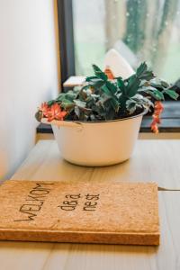 Gambar di galeri bagi D&A nest di Retie