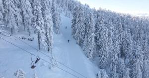 a group of people skiing down a snow covered mountain at Garsoniera deosebita intr-o zona linistita Straja-Lupeni in Lupeni