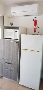 La cuisine est équipée d'un réfrigérateur blanc et d'un four micro-ondes. dans l'établissement Studio Naturiste "SUNSHINE" Héliopolis FG 14, au Cap d'Agde