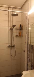 Kylpyhuone majoituspaikassa Vieskanhovi