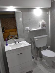 a bathroom with a toilet and a sink and a mirror at LA CASA DE COCO ALOJAMIENTO TURÍSTICO in Dina Huapi +10 photos