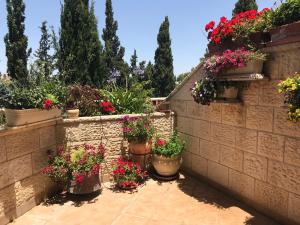a garden with potted plants on a brick wall at Dorraine's Jerusalem Bed & Breakfast in Jerusalem