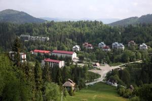 un pequeño pueblo en medio de un bosque en Тисовець квартира en Tysovets