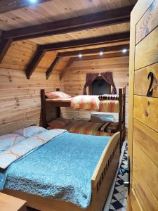 a bedroom with two beds in a log cabin at Vikendica MILA in Kolašin