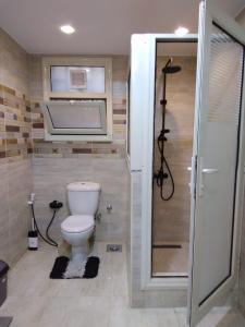 a bathroom with a shower and a toilet in it at Appartamento vicino alle piramidi in Cairo