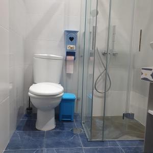 ein Bad mit einem WC und einer Glasdusche in der Unterkunft Cantinho AZUL in Porto Santo