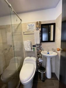 a bathroom with a toilet and a sink at Hotel Santa Maria Villeta in Villeta