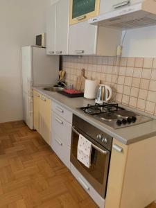 Η κουζίνα ή μικρή κουζίνα στο Šarmantni apartman Malecka 2