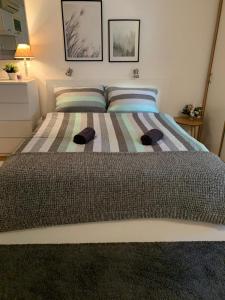 Ein Bett oder Betten in einem Zimmer der Unterkunft Šarmantni apartman Malecka 2