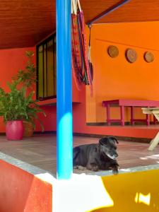 a black dog laying on the floor of a room at El Sol Monteverde in Monteverde Costa Rica