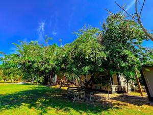 Zahrada ubytování Klangsuan Resort กลางสวน รีสอร์ท แกลง + 18 fotografií