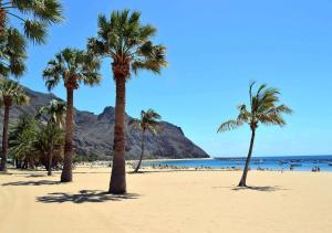 Naturlandskabet i nærheden af lejligheden