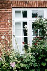 Gallery image of Langebjerg Pension & Spisested in Allinge