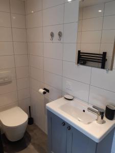 a bathroom with a toilet and a sink and a mirror at Appartement neuf, une chambre avec parking in Séez