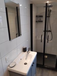 La salle de bains est pourvue d'un lavabo et d'une douche avec un miroir. dans l'établissement Appartement neuf, une chambre avec parking, à Séez