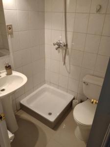 W łazience znajduje się prysznic, toaleta i umywalka. w obiekcie Centrico Y Amplio Apartment w mieście Santiago