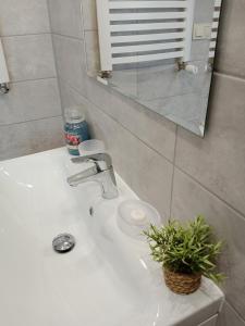 Kúpeľňa v ubytovaní Apartament Rojka