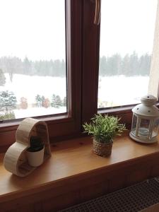 Fotografia z galérie ubytovania Apartament Rojka v Zakopanom