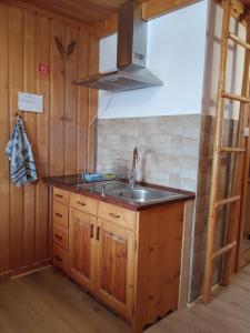 Kuchyňa alebo kuchynka v ubytovaní Apartament Rojka
