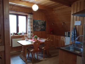 Kuchyňa alebo kuchynka v ubytovaní Apartament Rojka + 34 fotografií