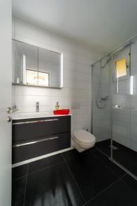 ein Bad mit einem WC, einem Waschbecken und einer Dusche in der Unterkunft Chalet Altishofen in Riederalp