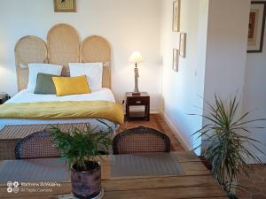 a bedroom with a bed and two potted plants at Le champ de l'eau in Crecy la Chapelle