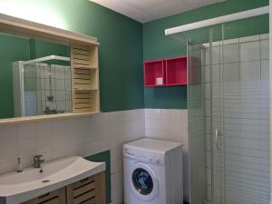 une salle de bains verte avec un lave-linge et un lavabo. dans l'établissement Saint-Etienne Appart'hôtel de Bellevue, à Saint-Étienne
