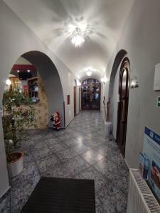 Vstupní hala nebo recepce v ubytování Hotel Bohemia Excellent