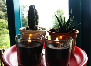 Foto dalla galleria di White Rabbit Guest House a Dharamshala