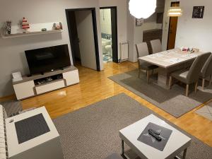 Televízia a/alebo spoločenská miestnosť v ubytovaní Apartman Luna near Zagreb Airport